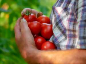 photo FRUITS ET LÉGUMES BIO : RENCONTRE AVEC UN PRODUCTEUR PASSIONNÉ