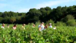 photo Les Échappées en Loire Coteaux du Vendomois