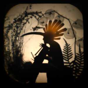 photo Odyssée - VOLATILE OMBRE