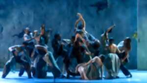 photo Festival Arte Flamenco