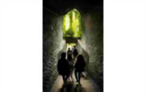 photo Les incontournables de Pau : Du passage Darracq au passage Carnot