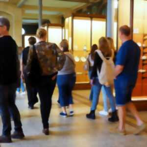 photo French / English Tour - Musée National Adrien Dubouché - Limoges