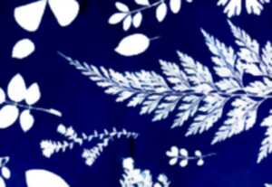 photo Médiathèque : Atelier cyanotype