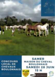 photo Concours local de chevaux boulonnais - Samer