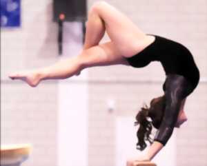 photo Championnat National F3 Gymnastique Feminine - Limoges