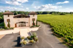 photo Visite dégustation | Vignoble des Verdots
