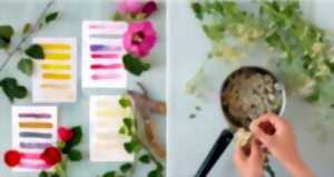 photo Stage d'Eté Par Graine d'Artistes : Cuisiner sa Peinture Végétale - Limoges