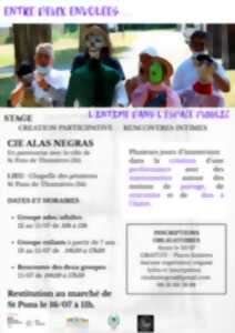 photo STAGE-CRÉATION PARTICIPATIVE AVEC LA CIE ALAS NEGRAS