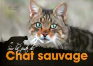 photo Renard roux et Chat forestier, régulateurs naturels des populations de micromammifères