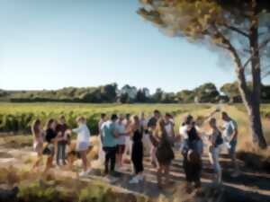photo BALADE VIGNERONNE