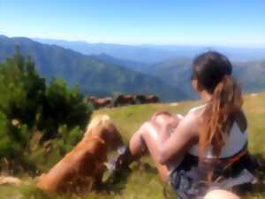 photo EXCURSION VERS LE CANIGOU EN 4X4 AVEC PASSCANIGO