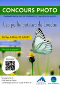 photo Concours photographique