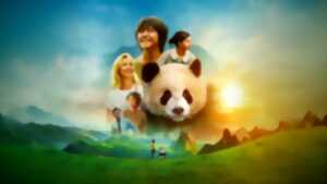 photo Moon le Panda - Ciné Plein Air