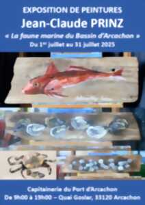 photo La faune marine du Bassin d'Arcachon