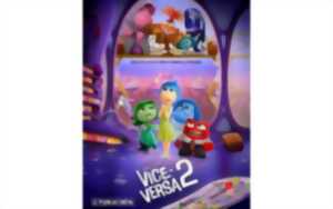 photo Un été au ciné - Vice Versa 2