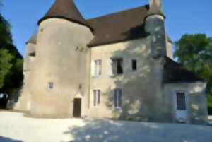 photo Journée européenne du Patrimoine - Château du Plessis