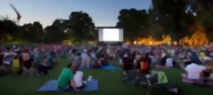 photo Cinéma plein aire à Vouillé