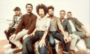 photo Limoges Music Vibes : The Buttshakers