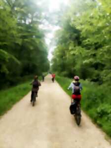 photo Balades vélo au départ de Châteauneuf-sur-Loire