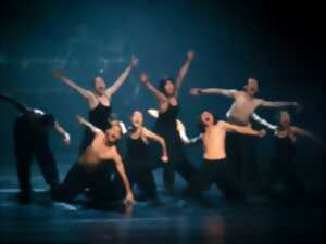 photo spectacle de dance : In Satie & The Rite of Spring