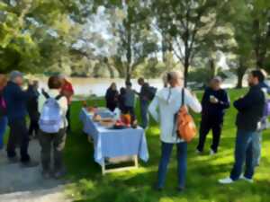 photo Marche gourmande aux Châteliers