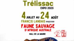 photo Exposition photo : la faune sauvage d'Afrique australe