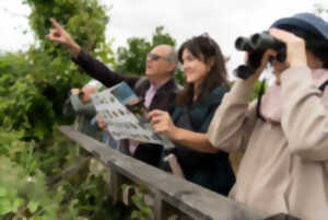 photo Visite « ornitho-historique » de la Réserve ornithologique du Teich