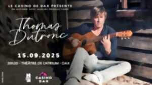photo Concert Thomas Dutronc