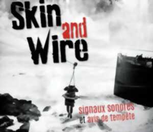 photo LES HEBDOS DE L'ÉTÉ - SKIN AND WIRE