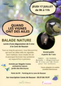 photo Quand les vignes ont des ailes