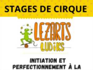 photo Atelier de cirque avec Lezarts Ludiks