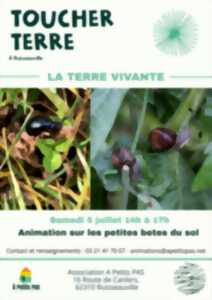 photo Toucher Terre - Animation sur les petites bêtes du sol