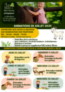 photo Animation brossage et douche aux poneys