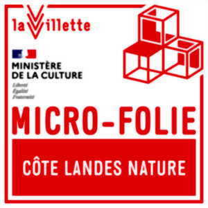 photo Micro-Folie « Le Louvre à Léon »