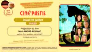 photo Ciné pastis