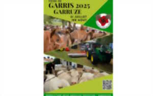 photo Foire aux chevaux