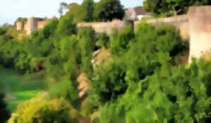 photo Arbres des Remparts de Montreuil