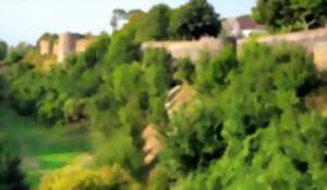 photo Arbres des Remparts de Montreuil