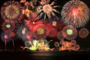 photo Feu d'artifice Sedan