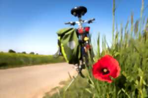 photo Rando cyclo 87