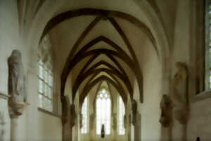 photo Exposition - Cubiculum Musicae