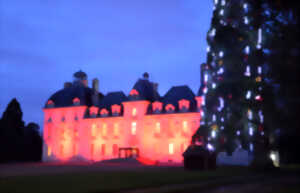 photo Journée spéciale Noël au Château de Cheverny