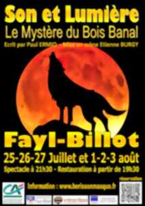 photo SON ET LUMIÈRE - LE MYSTÈRE DU BOIS BANAL