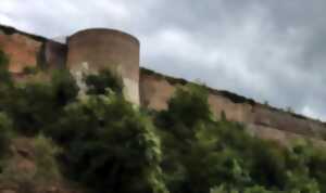 photo Visite Guidée : Les Fortifications Secrètes