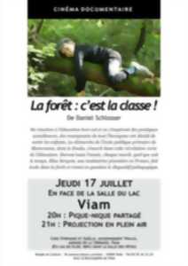 photo Cinéma en plein air : La forêt c'est la classe !