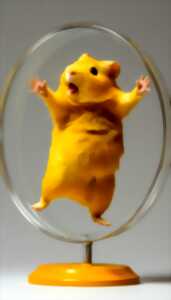 photo VERNISSAGE EXPOSITION : LA CONSCIENCE DU HAMSTER - 9ÈME SALON ART NATURE CONTEMPORAIN