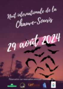 photo La Nuit Internationale de la Chauve Souris