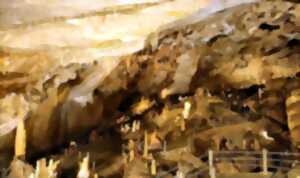 photo CONCERT : GROTTE DE DARGILAN