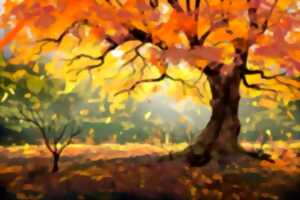 photo Exposition : Aquarelles