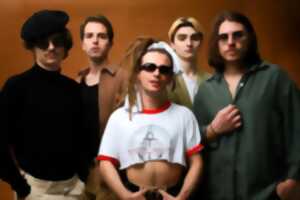photo Les Nouvelles Terrasses Musicales - Gemini Cream